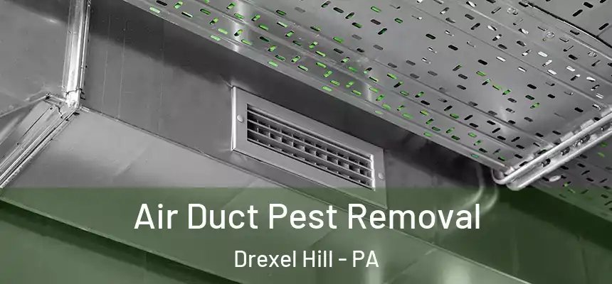  Air Duct Pest Removal Drexel Hill - PA