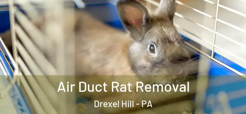  Air Duct Rat Removal Drexel Hill - PA