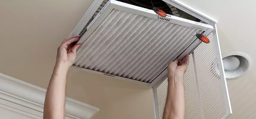 Preventive Cockroach-Proofing for Ducts in Drexel Hill