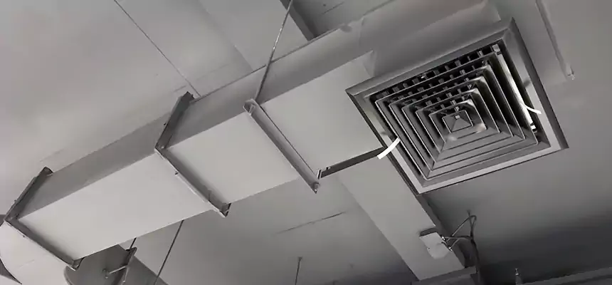 Restorative Allergy Relief Vent Cleaning – Coil, Blower & Housing Detail in Drexel Hill