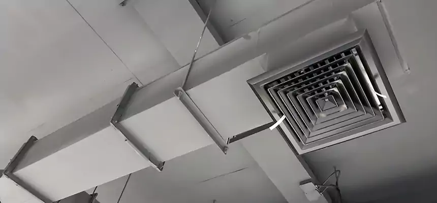 Our Rodent Droppings In Vents Services in Drexel Hill, PA