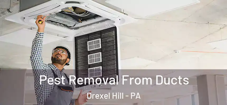  Pest Removal From Ducts Drexel Hill - PA
