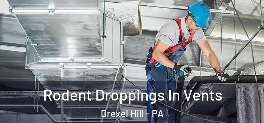 Rodent Droppings In Vents Drexel Hill - PA