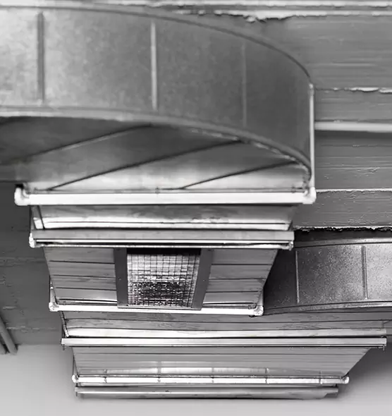 Professional Air Duct Pest Removal in Drexel Hill, PA