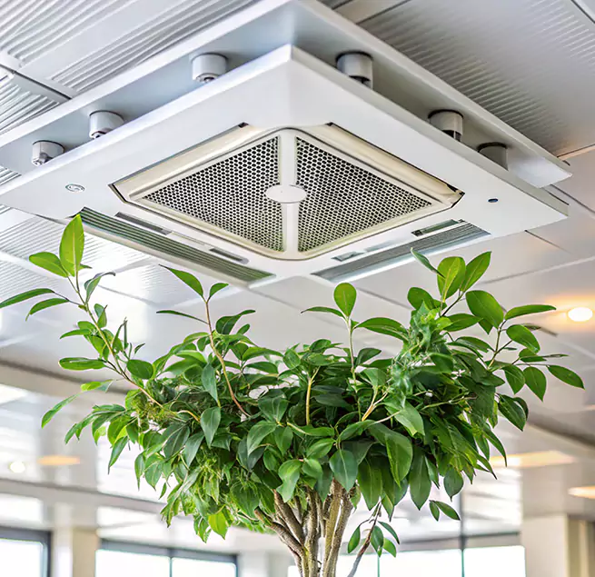 Why Homeowners & Businesses Trust Us in Drexel Hill, PA